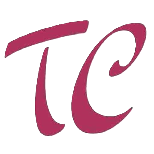 Torsy Catherine, DSI à temps partagé, Des prestations en pilotage des systèmes d'information pour les PME